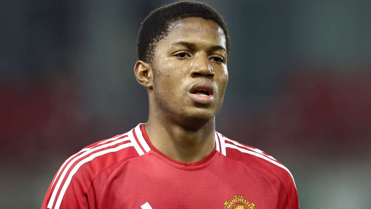 这也是他不 这也是他不