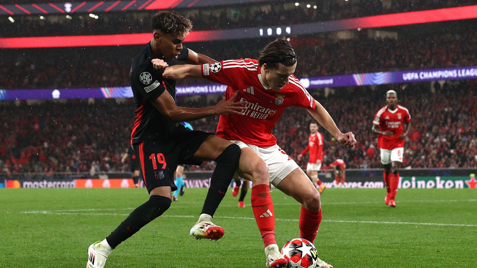 尔世界杯中 尔世界杯中