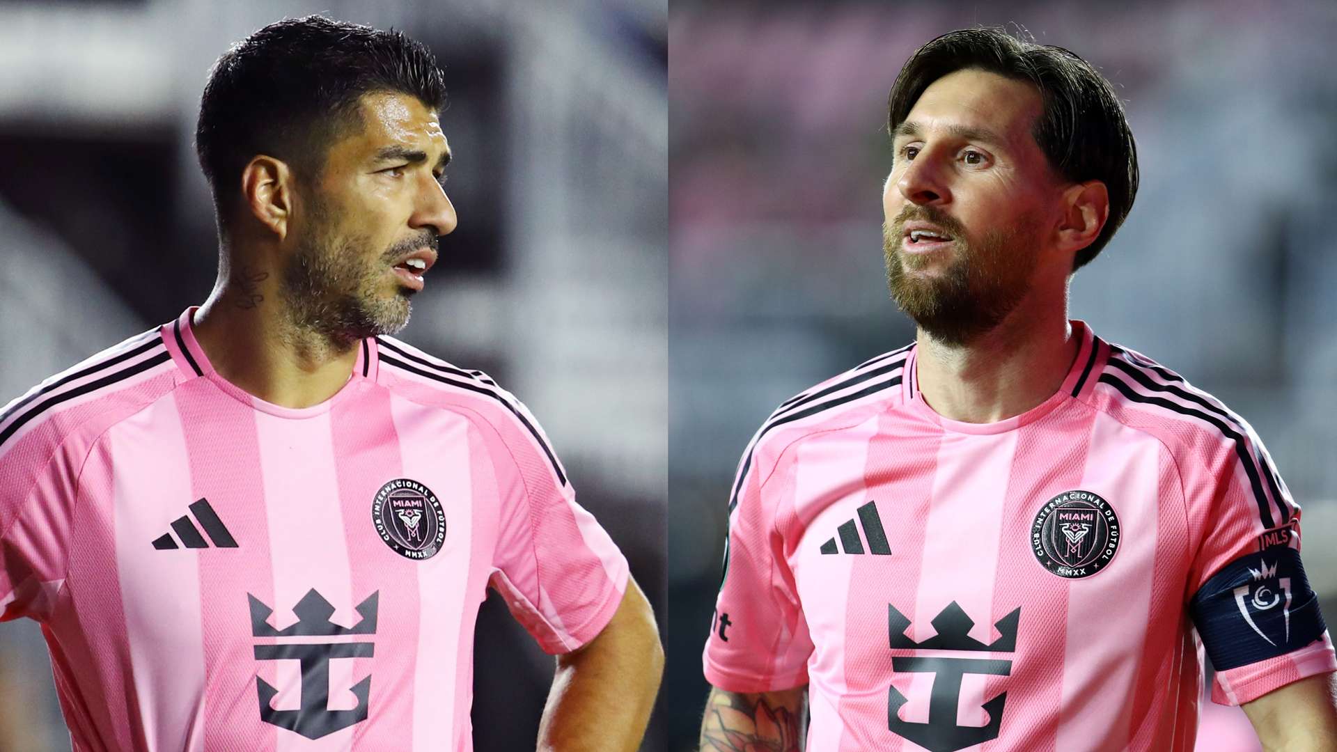 正因为真正 正因为真正